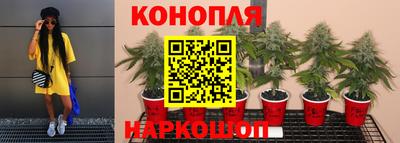 гашик Ликино-Дулёво