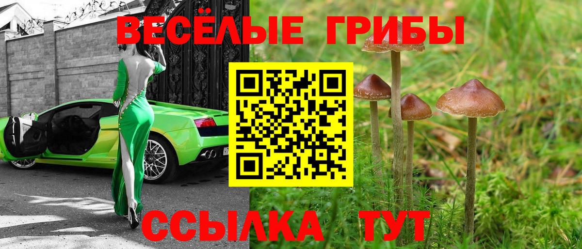 Псилоцибиновые грибы Cubensis  Галлюциногенные грибы ЛСД  Вход с VPN  Югорск 